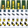 Army