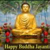Buddha's Birthday