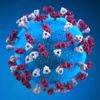 Coronavirus disease 2019