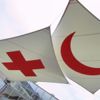 International Red Cross and Red Crescent Movement