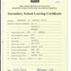Secondary School Leaving Certificate