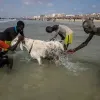 Senegal