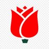 Social democracy
