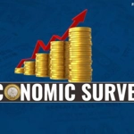 Economic survey of India