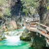 Cazorla