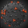Virus de la inmunodeficiencia humana
