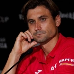 David Ferrer