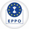 Európai Ügyészség