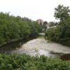 Seveso