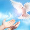 Spirito Santo