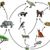 Ecosystem
