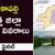 Anakapalli district