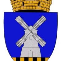 primăria orașului nisporeni