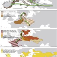 paleogenetics