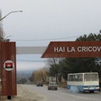 primăria or. cricova