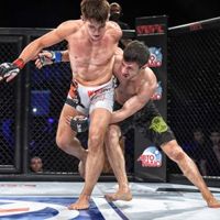 Smíšená bojová umění