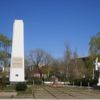 Căușeni