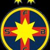 FCSB