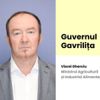 Viorel Gherciu