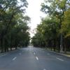 Șoseaua Kiseleff