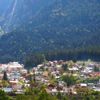 Bușteni