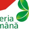 Loteria Română