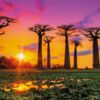 Madagascar