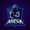 PRO Arena