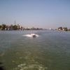 Sulina