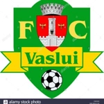 FC Vaslui