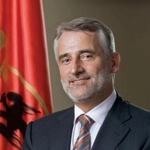 Демократическа партия на албанците