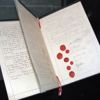 Geneva Conventions