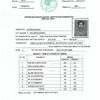 Higher Secondary School Certificate