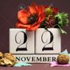 November 22
