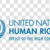 Office of the United Nations High Commissioner for Human Rights
