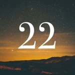 22 (number)