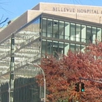 Bellevue Hospital