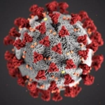 Coronavirus disease