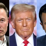 Department of Government Efficiency