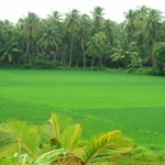 East Godavari district