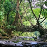 East Khasi Hills district