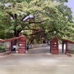 IIT Madras