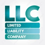 Limited liability company