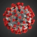 Novel coronavirus