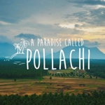 Pollachi