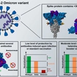 SARS-CoV-2 Omicron variant