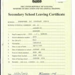 Secondary School Leaving Certificate