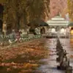 Shalimar Bagh, Srinagar