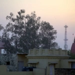 Shamli