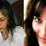 Sheena Bora murder case
